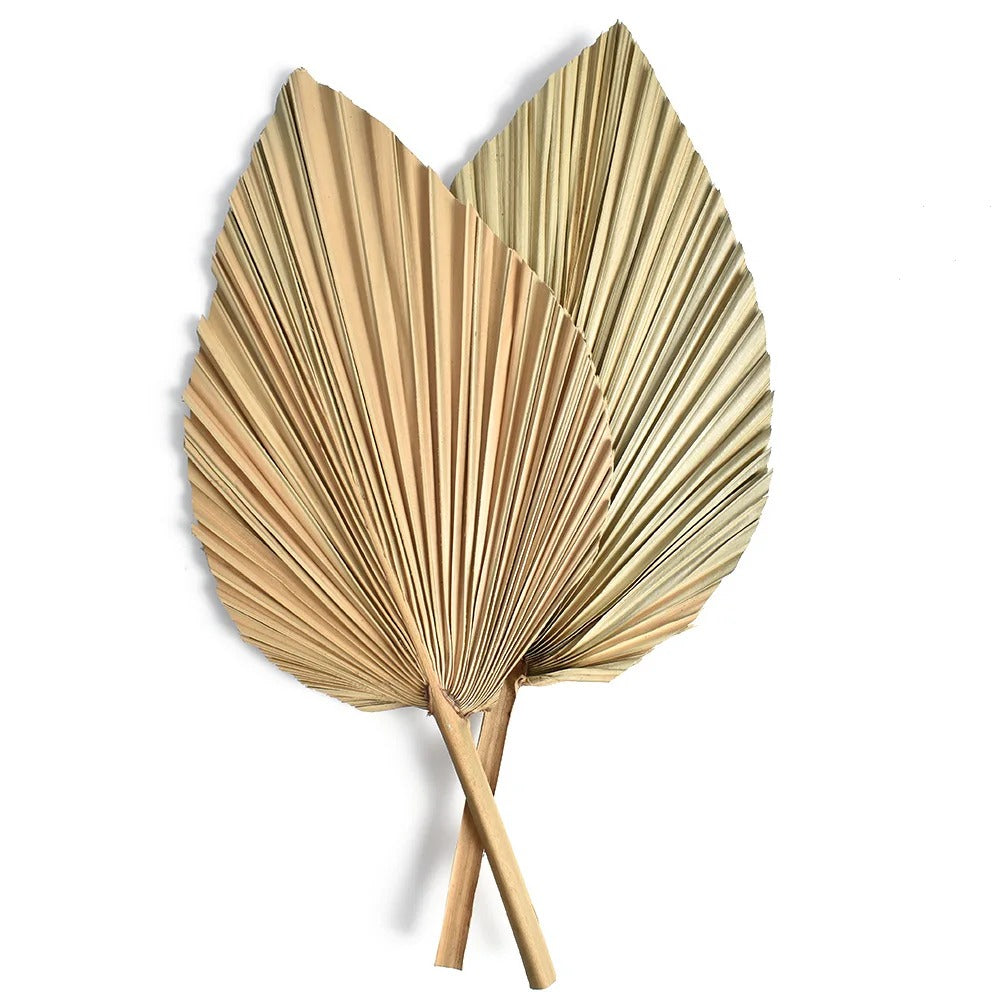 Velaria Petite Dried Palm Leaf Set – Raw Brown Edition (2 pcs)