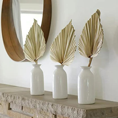 Velaria Petite Dried Palm Leaf Set – Raw Brown Edition (2 pcs)