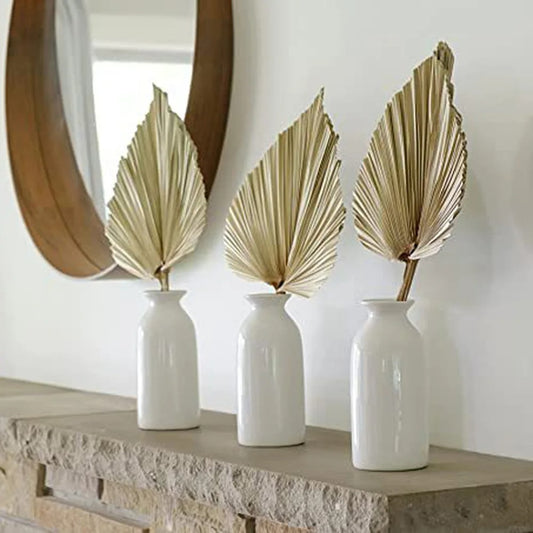 Velaria Petite Dried Palm Leaf Set – Raw Brown Edition (2 pcs)