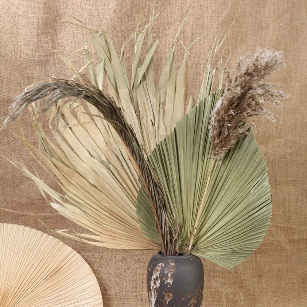 Velaria Petite Dried Palm Leaf Set – Raw Brown Edition (2 pcs)