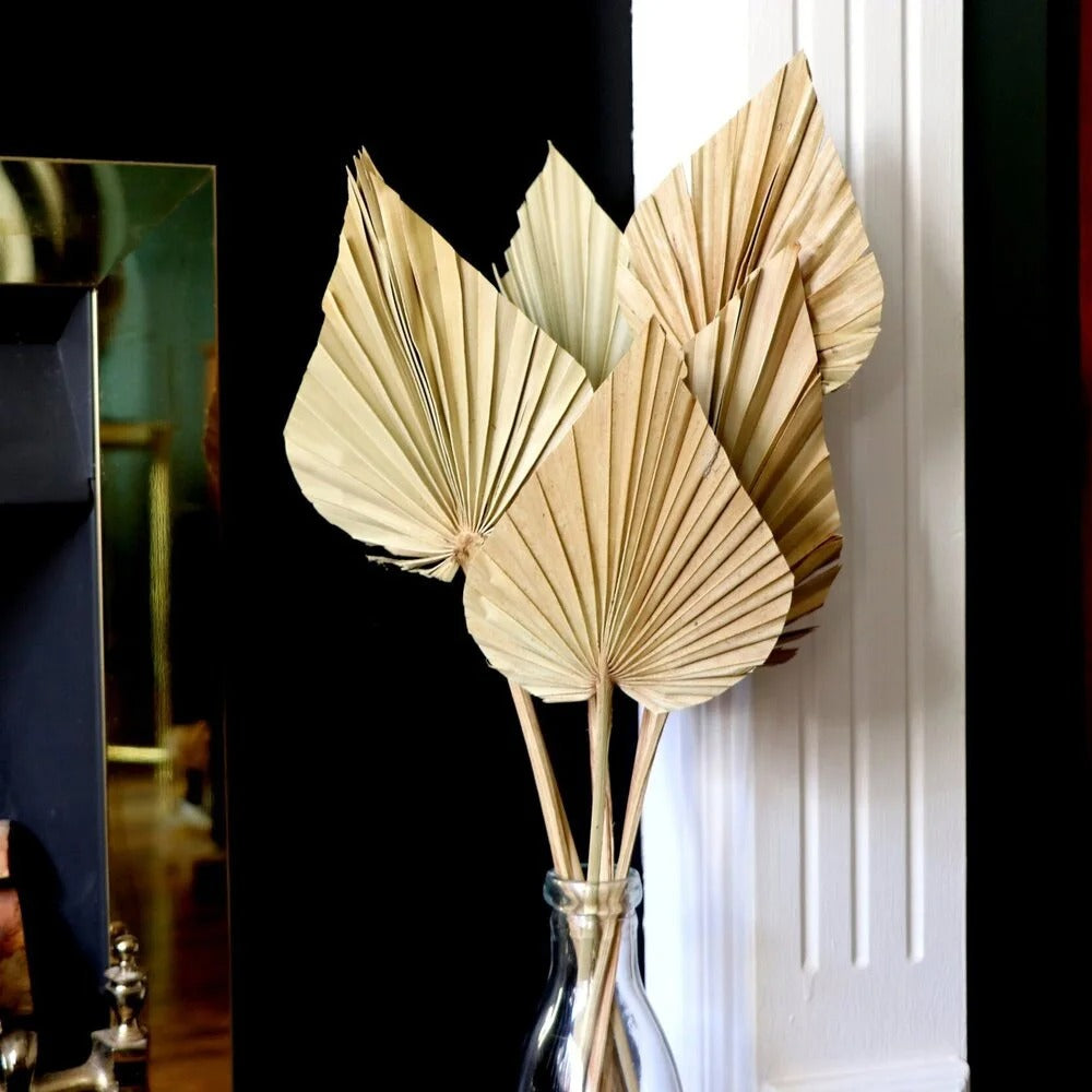 Velaria Petite Dried Palm Leaf Set – Raw Brown Edition (2 pcs)